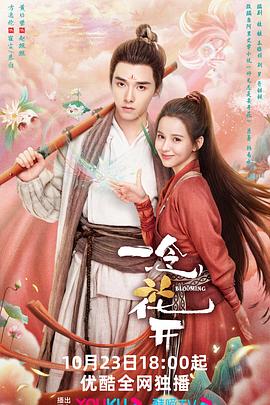 网站优化内容的价值